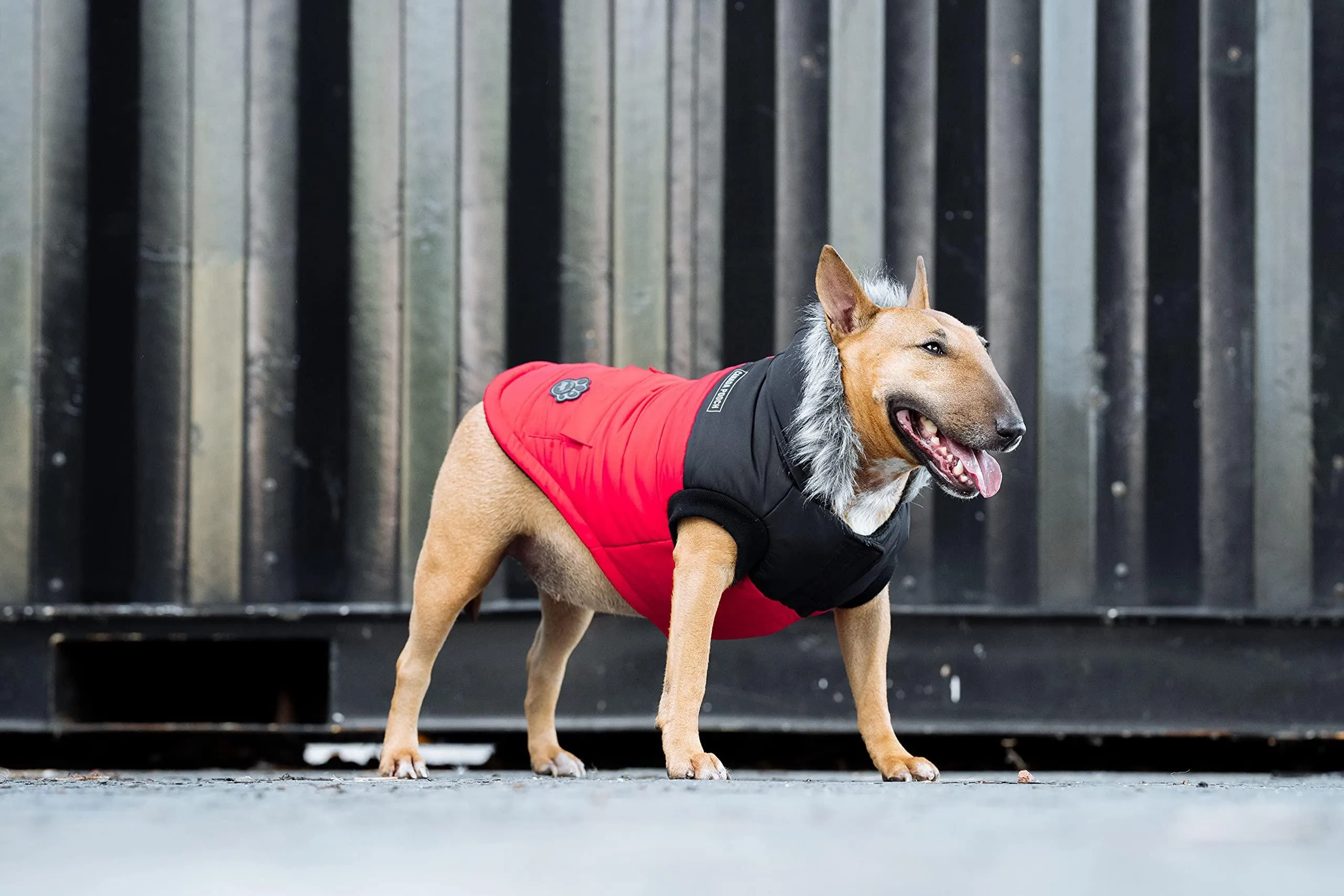 Canada Pooch True North Parka Size 14  Red Insulated Dog Coat