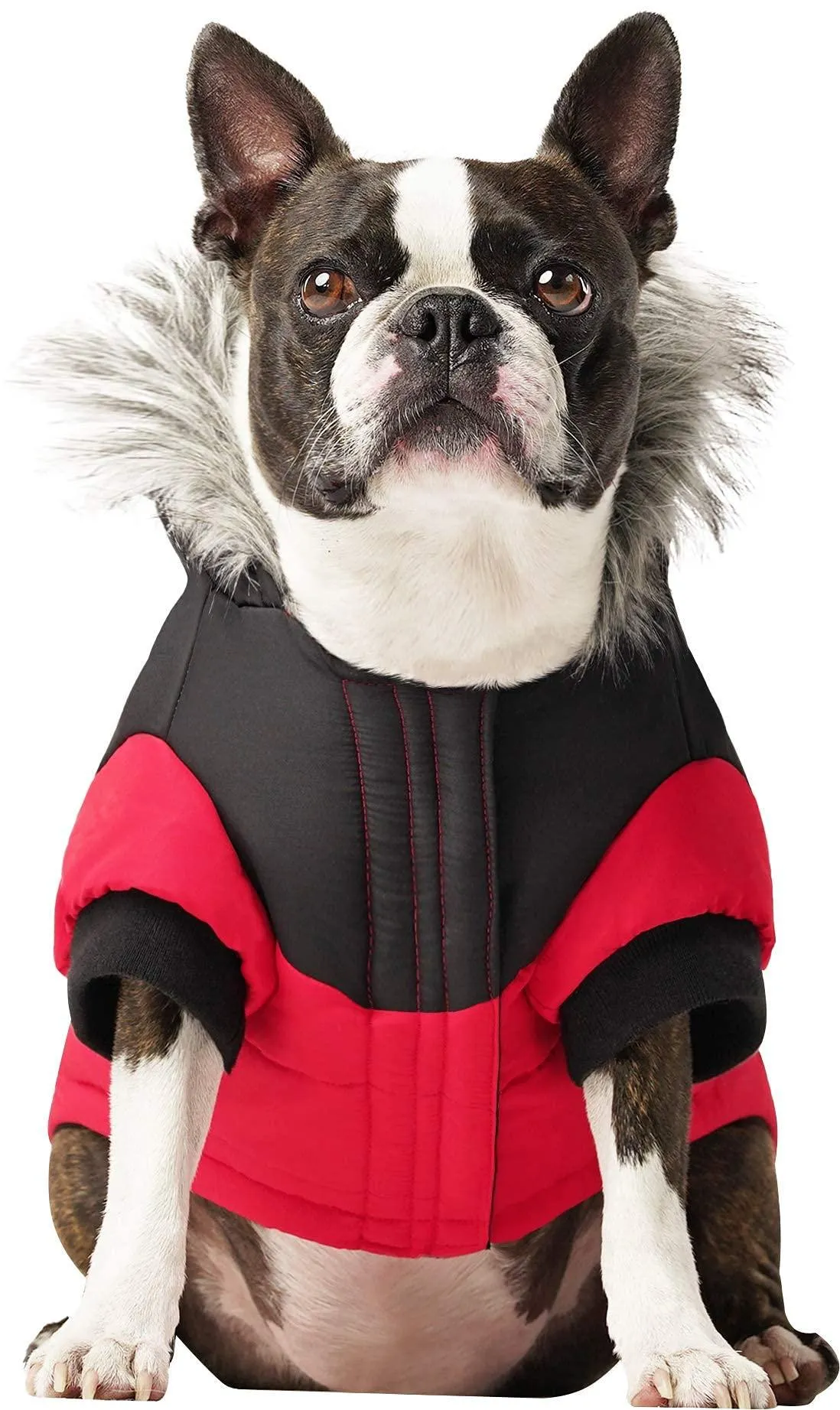 Canada Pooch True North Parka Size 14  Red Insulated Dog Coat