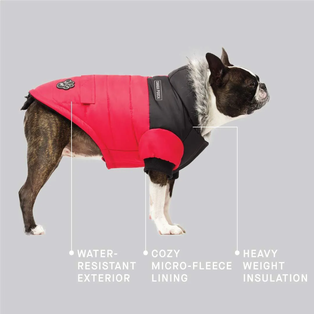 Canada Pooch True North Parka Size 14  Red Insulated Dog Coat