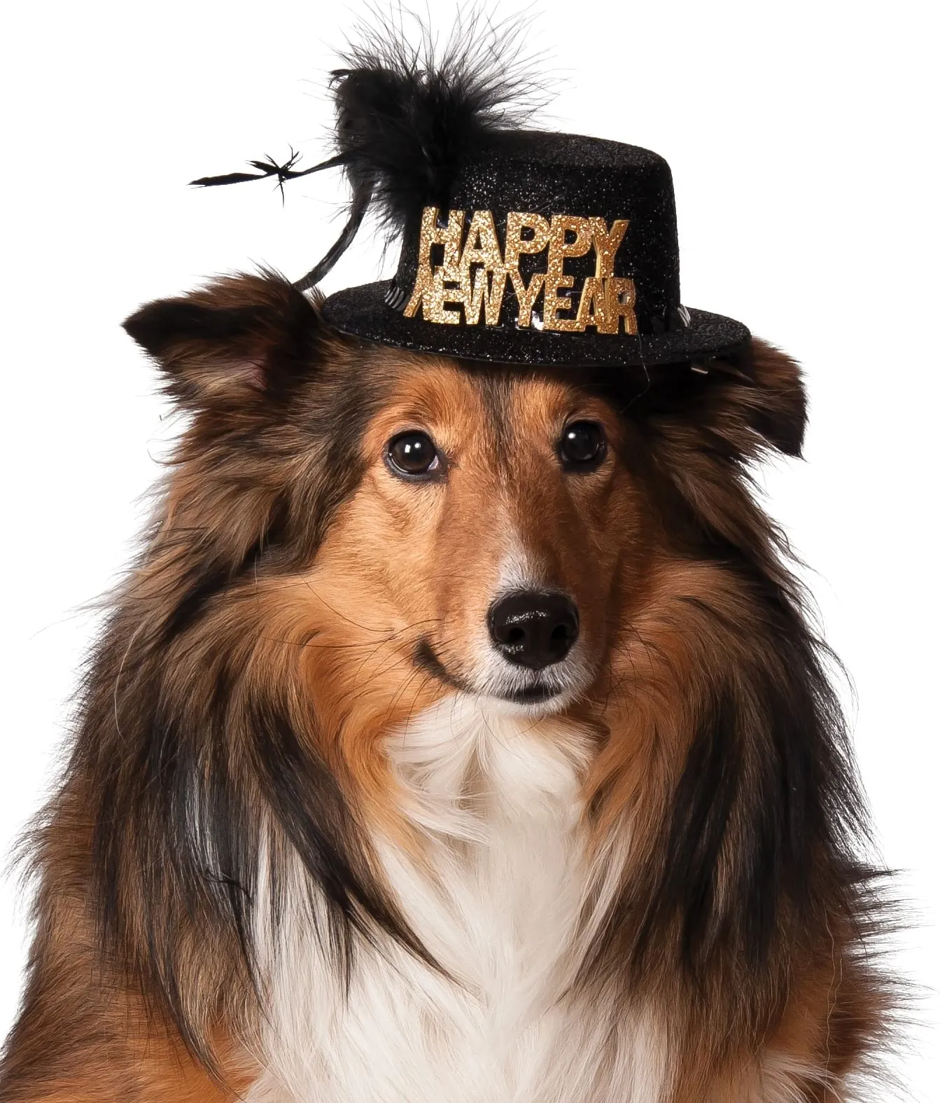 Happy New Year Pet Hat